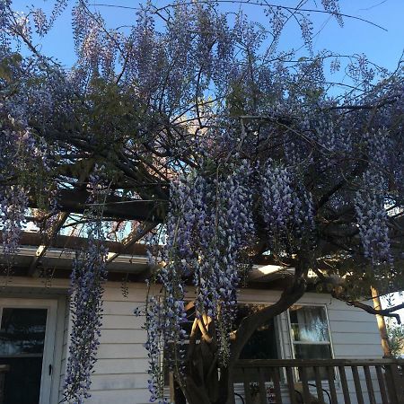 Wisteria Vine Cottage Monticello Luaran gambar