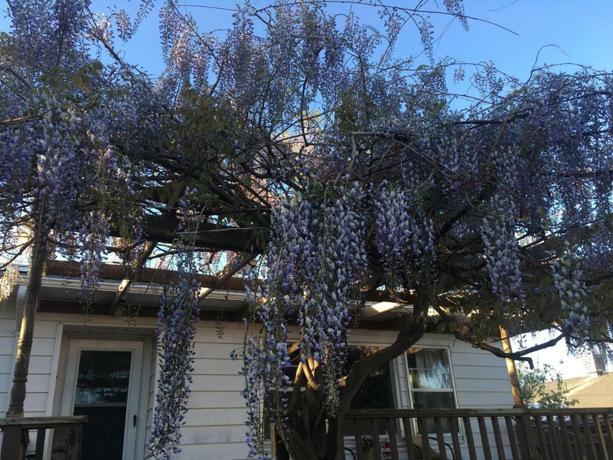 Wisteria Vine Cottage Monticello Luaran gambar